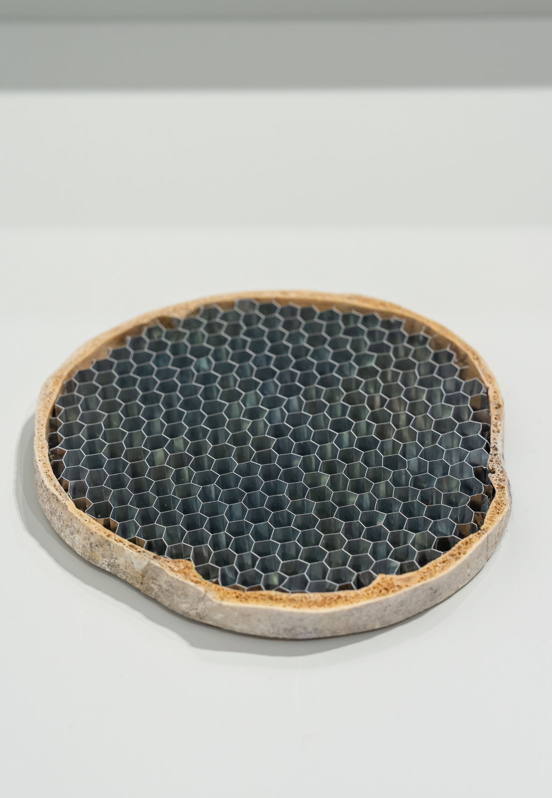 Nicolás Lamas, Network cross section, 2024