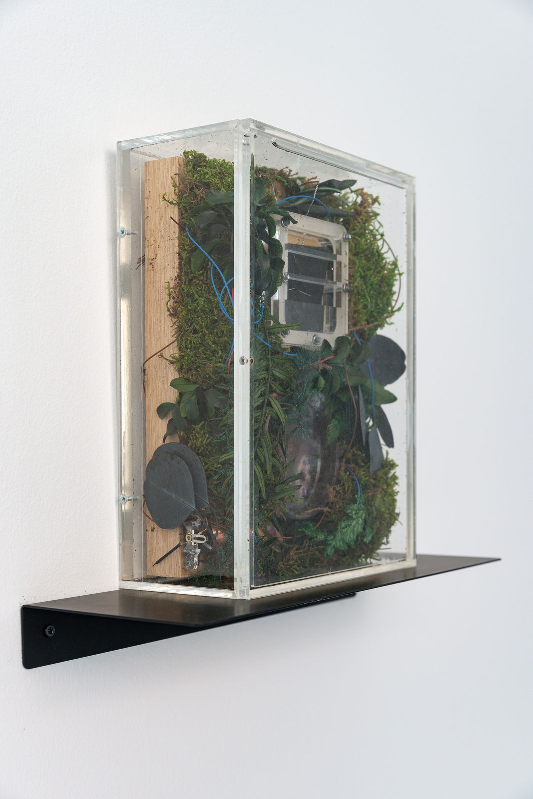 Cécile B. Evans, Prop for a Future Adaptation (microbial fuel cell prototype for giselle) II, 2021