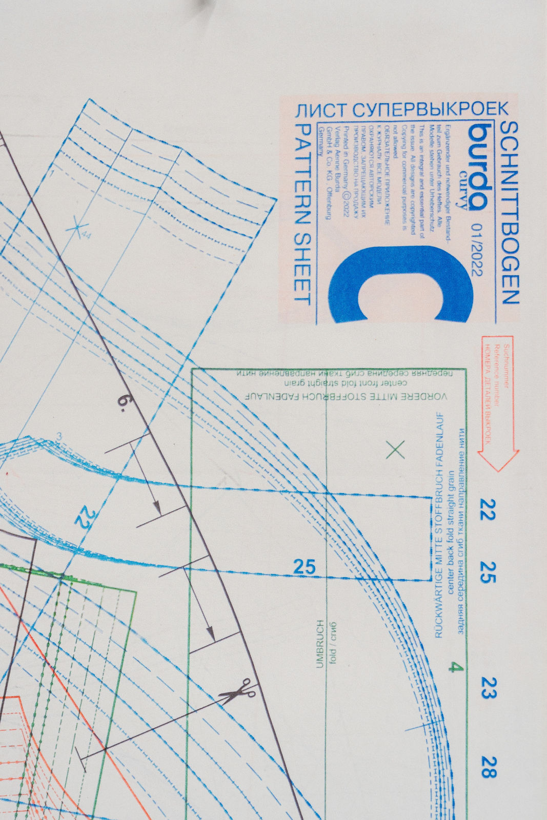 Nicolás Lamas, Losing the human form, 2022