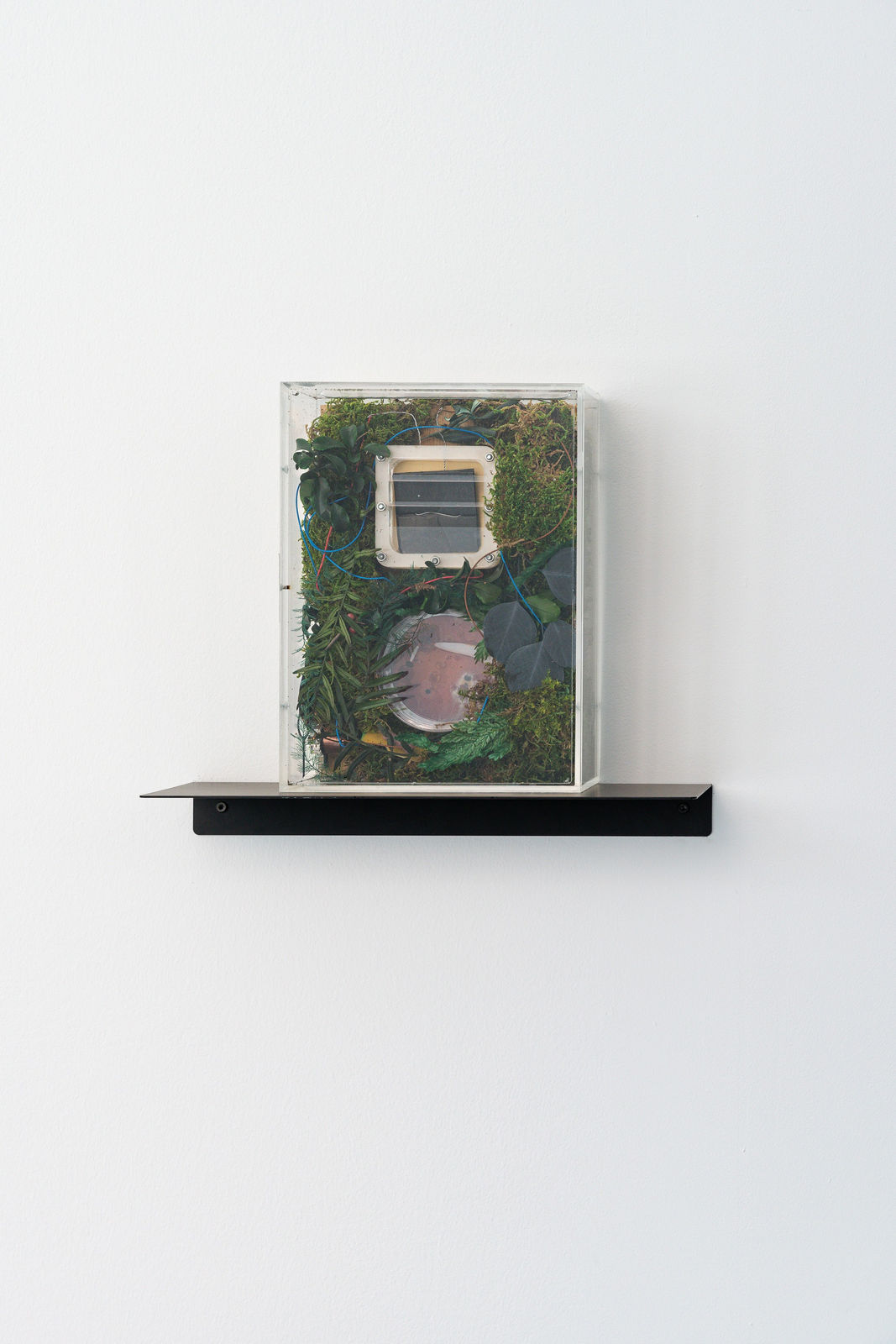 Cécile B. Evans, Prop for a Future Adaptation (microbial fuel cell prototype for giselle) II, 2021