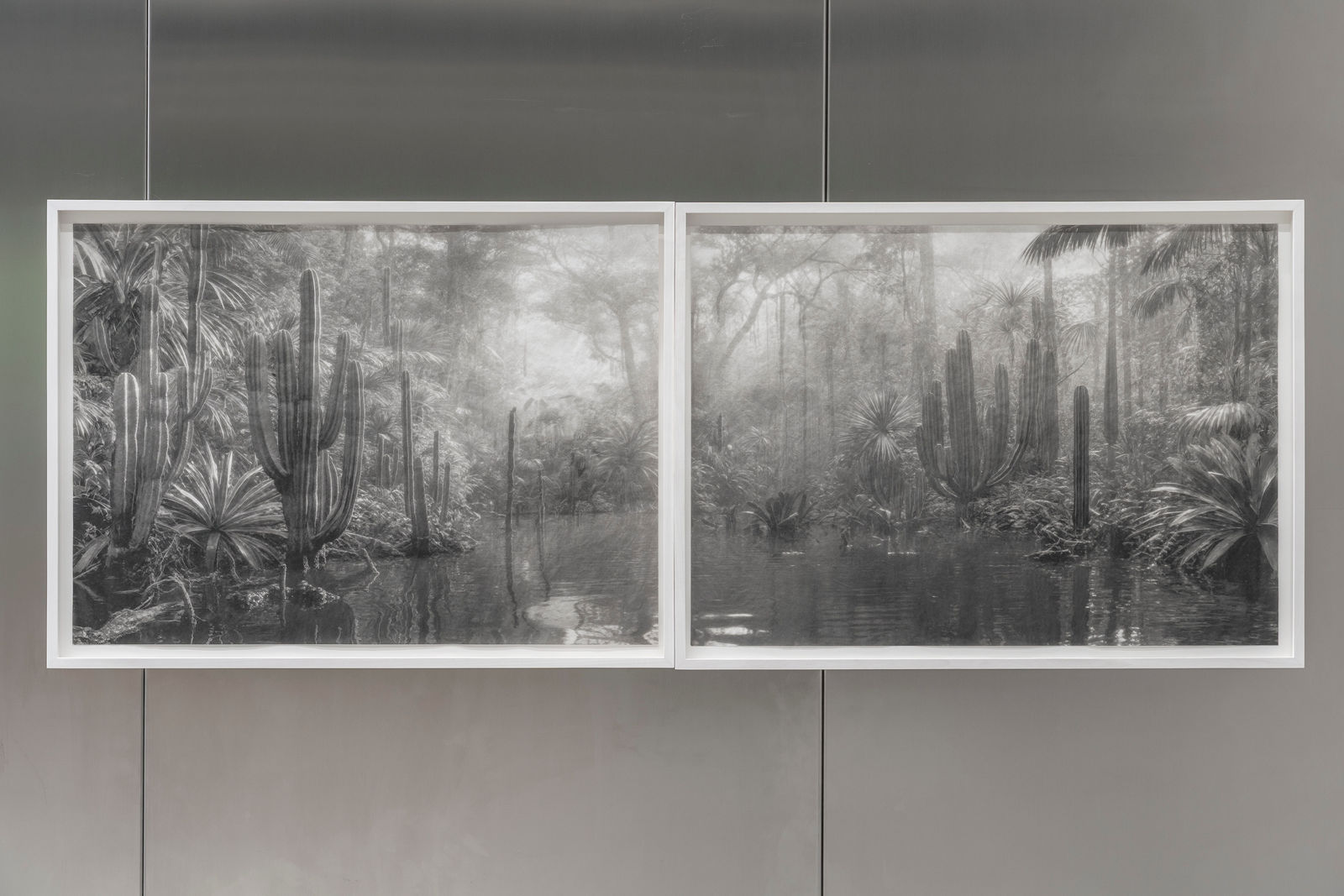 Troika, Out of Place, Out of Time (Lostmans River), 2025