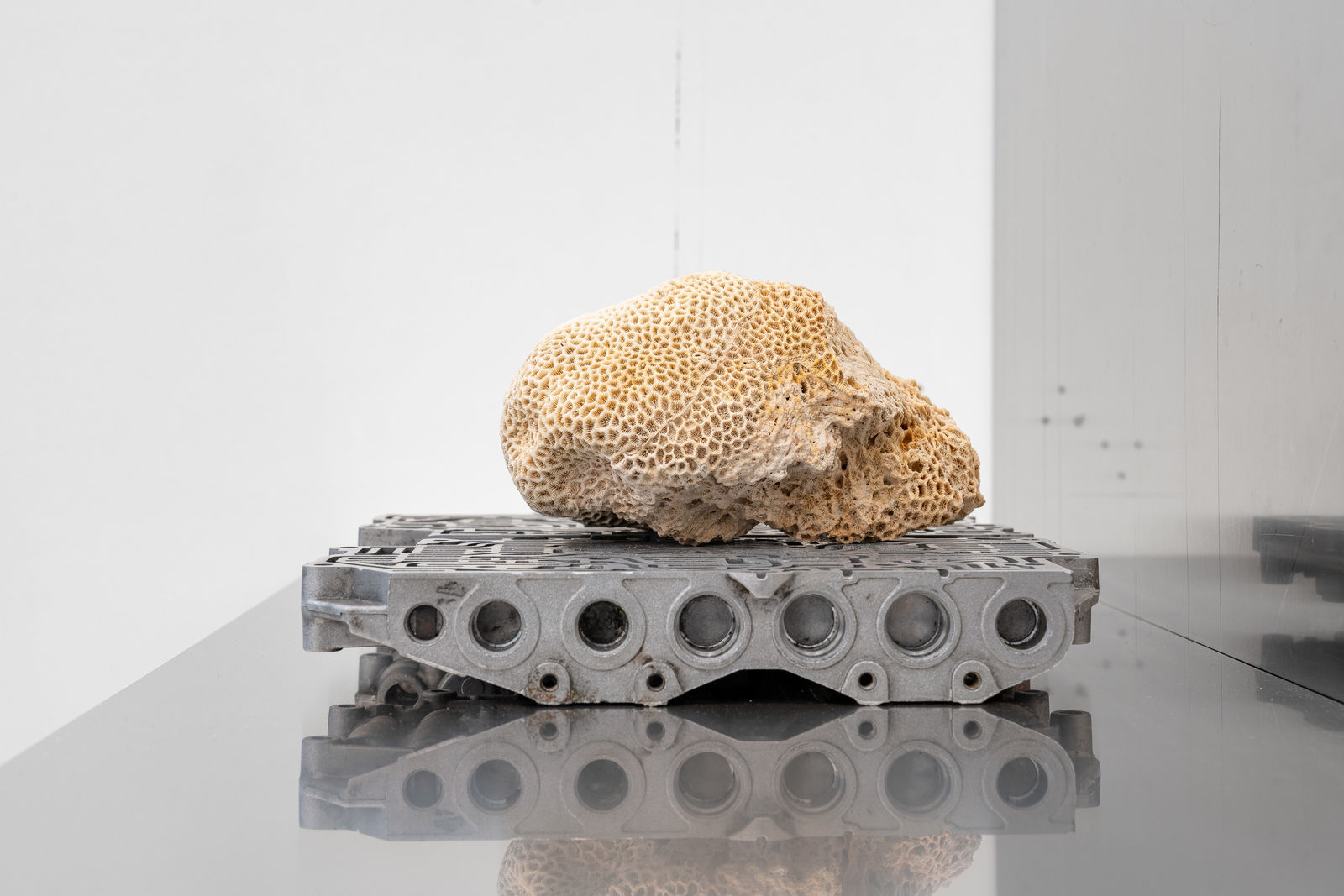 Nicolás Lamas, Neurocoral, 2022