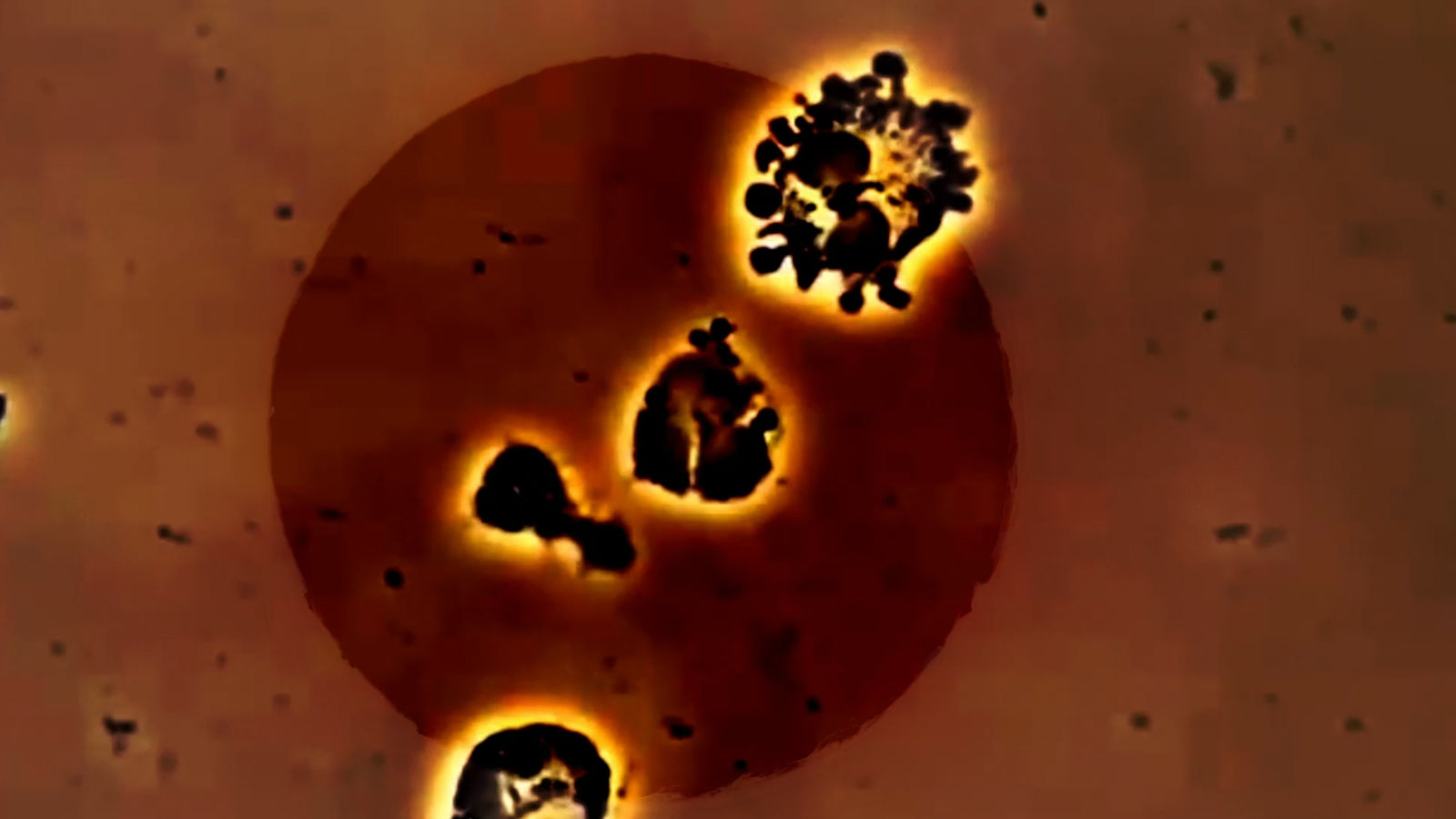 Cécile B. Evans, A Screen Test for an Adaption of Giselle, 2019