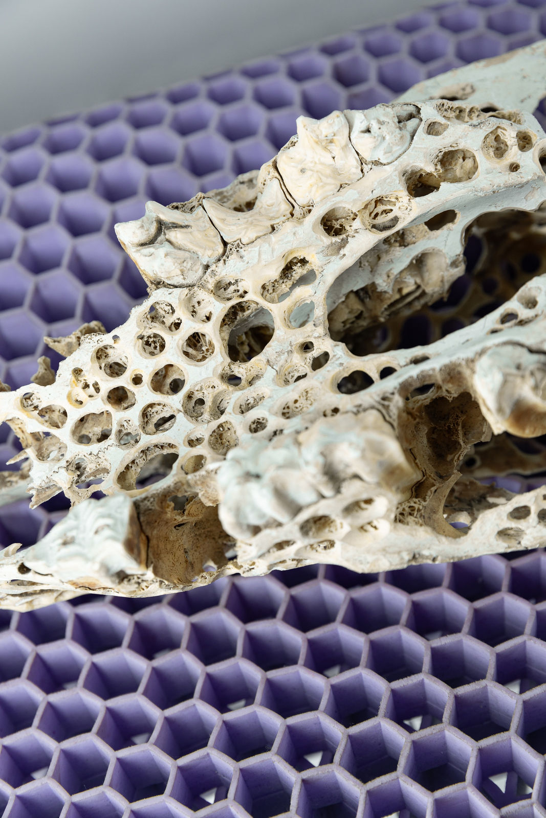 Nicolás Lamas, Mechanical erosion, 2022