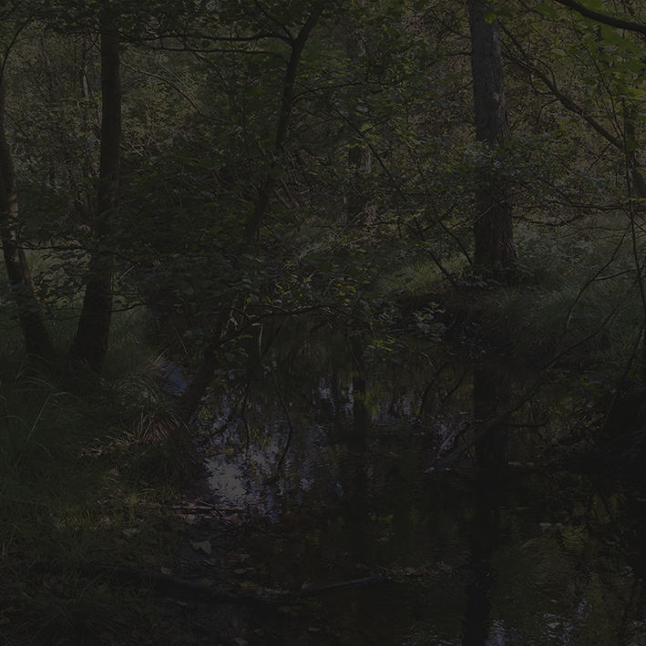 Johnny Jensen, Locus #2, 2025