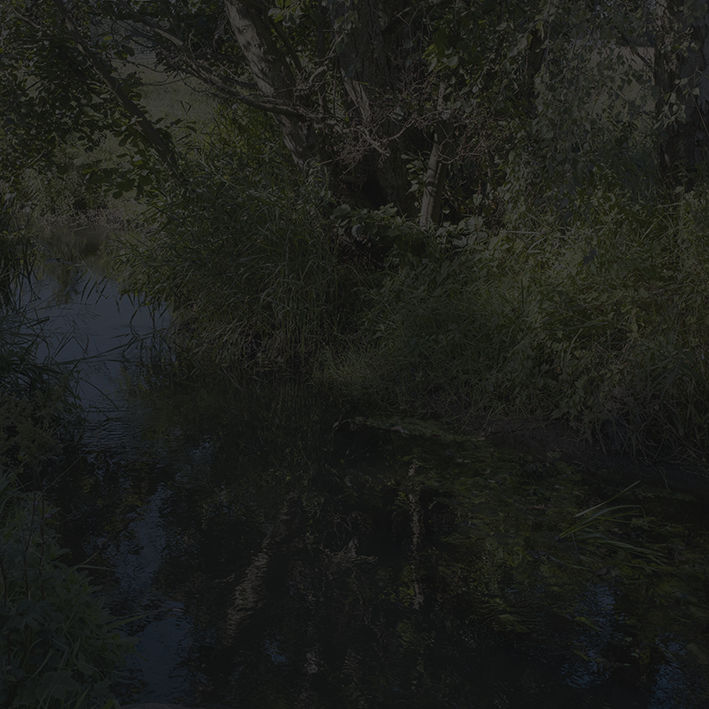 Johnny Jensen, Locus #14, 2025