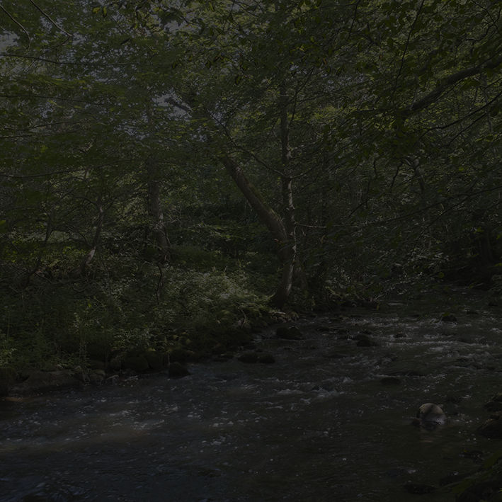 Johnny Jensen, Locus #15, 2025