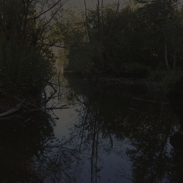 Johnny Jensen, Locus #6, 2025