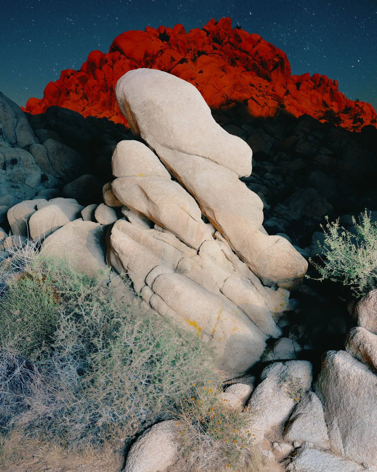 Christopher Rodriguez, Joshua Tree I, 2025