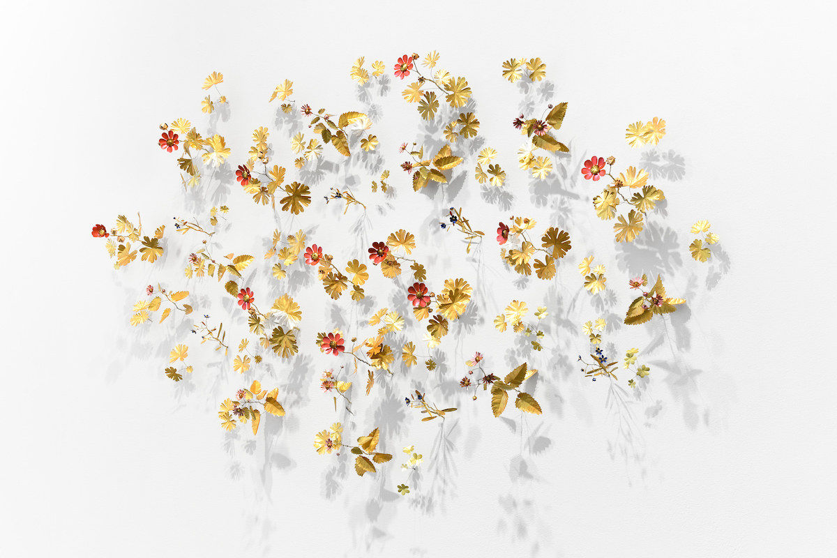 Kirk Maxson, Wildflowers