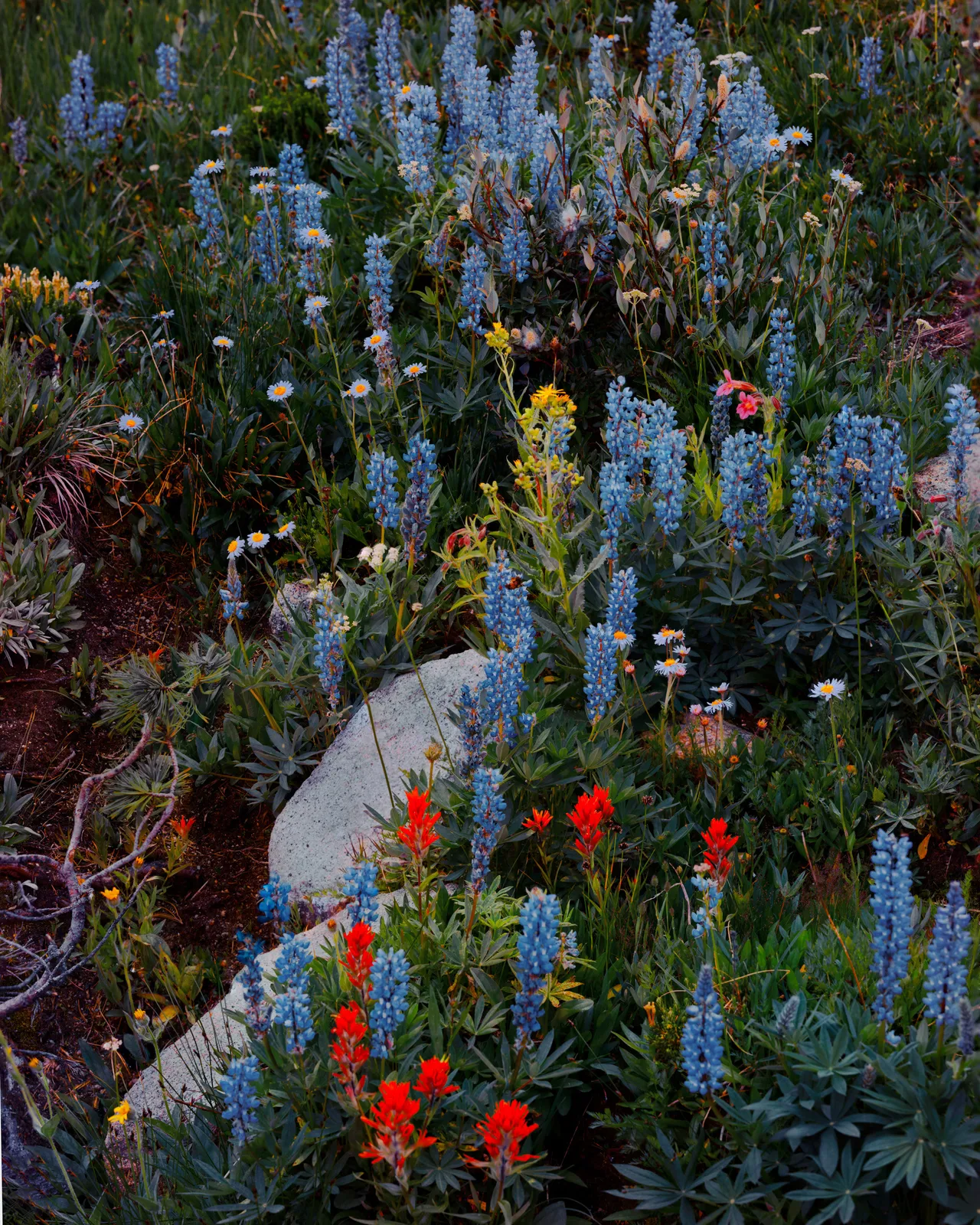 Christopher Rodriguez, Tendoy Lake Hike II, 2025