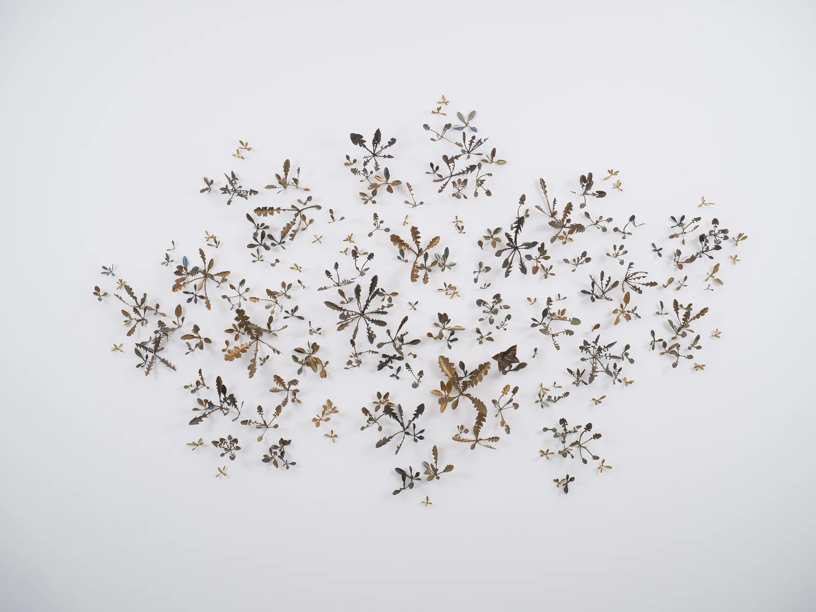 Kirk Maxson, Shooting Star