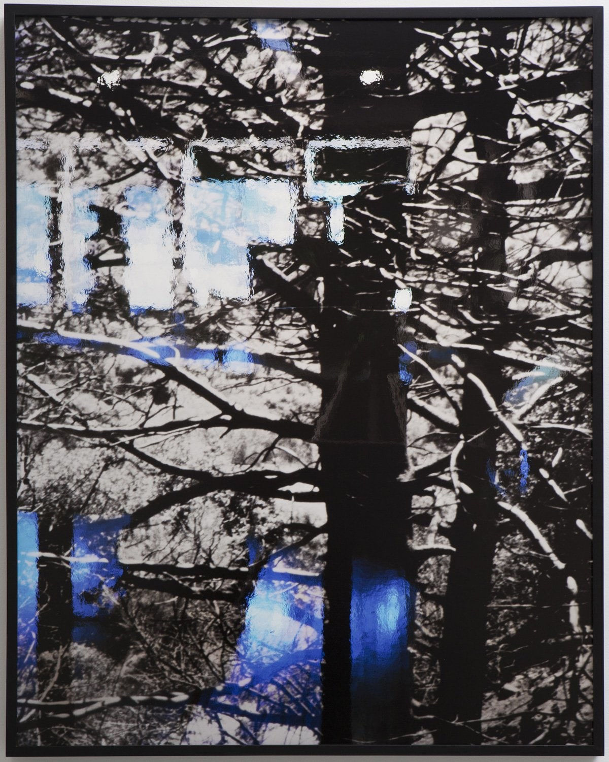 Anthony Lepore, Black and Blue, 2010