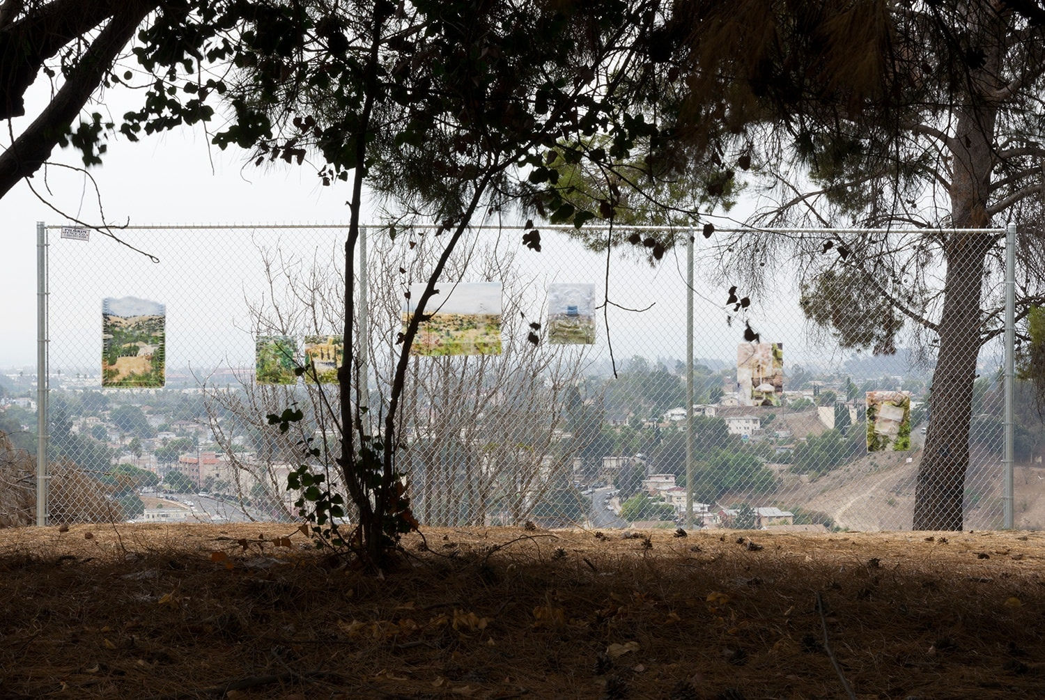 Dwyer Kilcollin, Installation view of The View, 2014