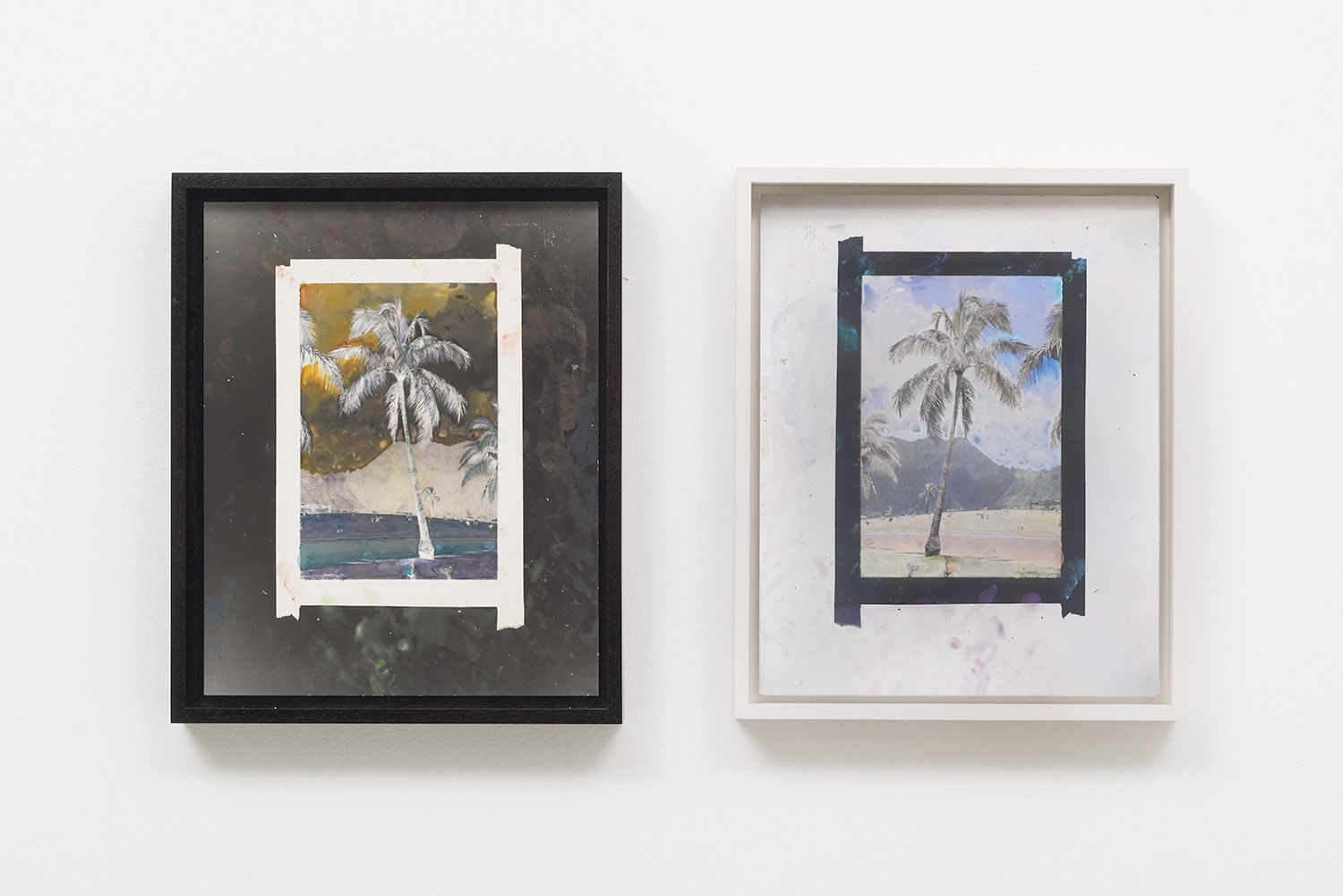 Matthew Brandt, Watercolor Palm 4, 2015