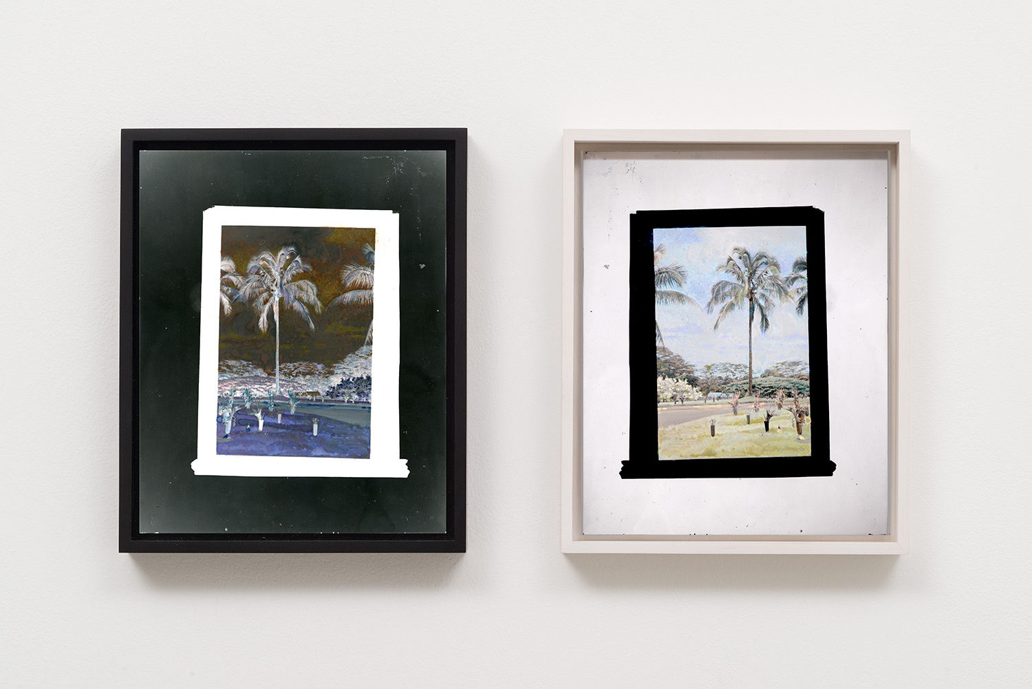 Matthew Brandt, Watercolor Palm 7, 2015