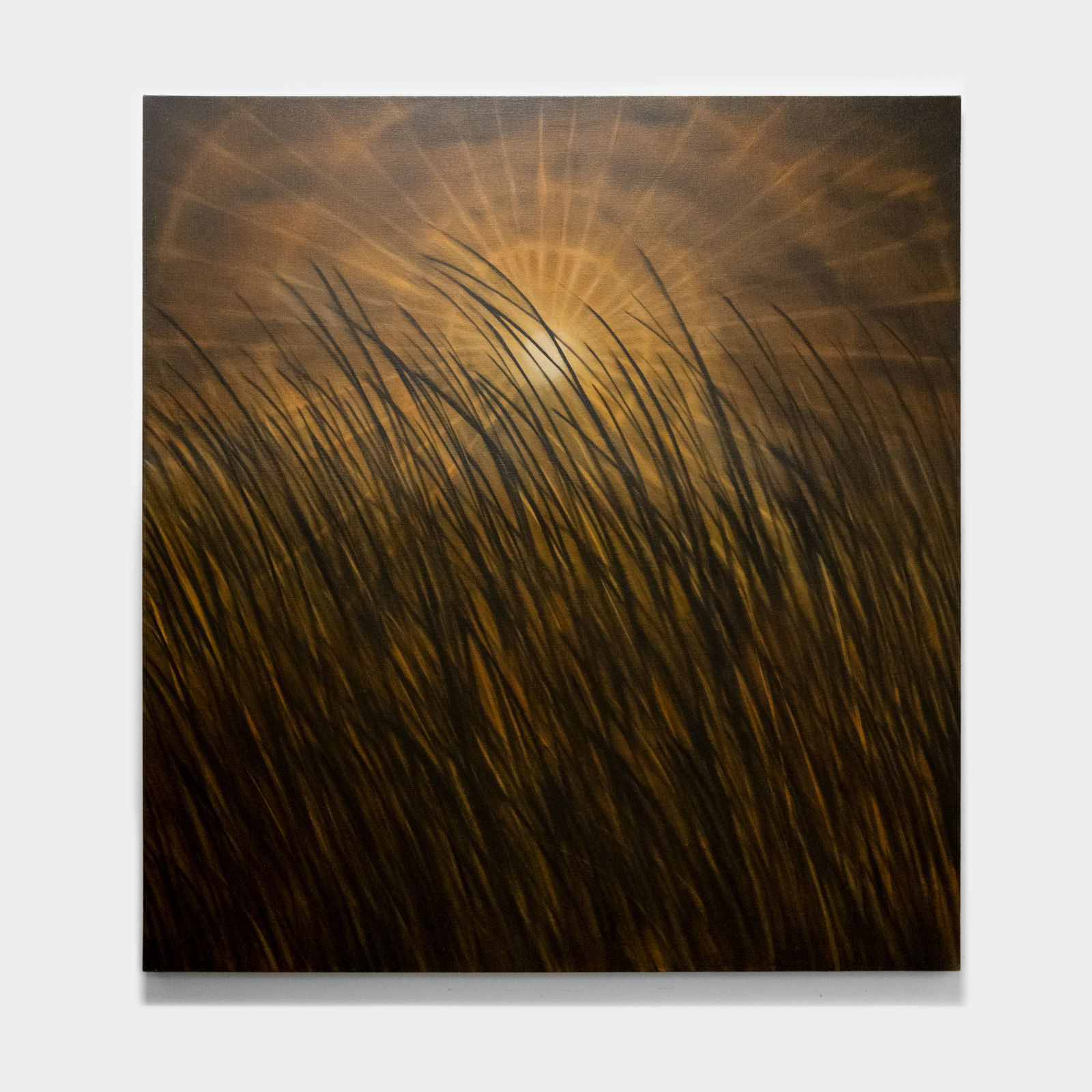 Samuel Staffan, In The Field Where I Fell, 2024