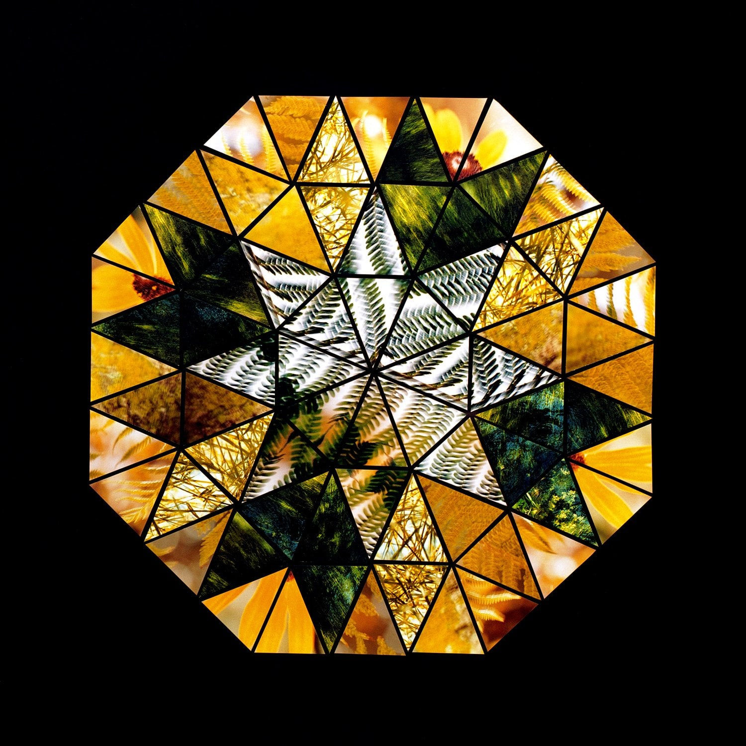 Lisa Eisner, Matchstick Cross, 2010