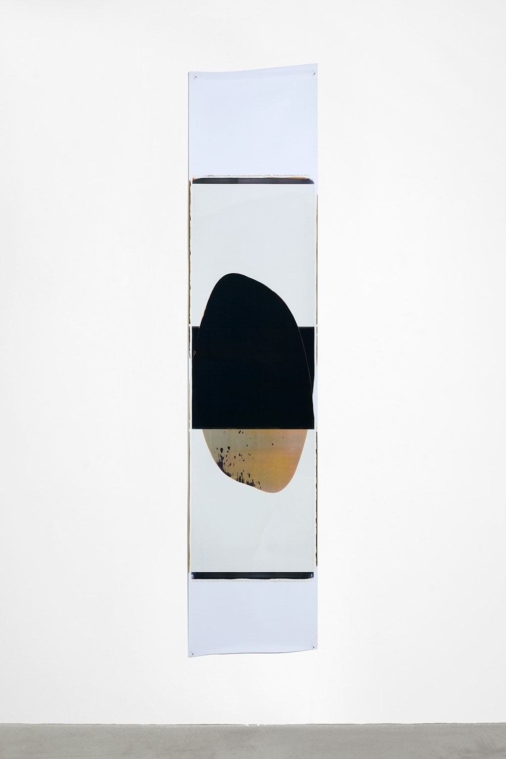 Ellen Carey, Pull with Rollback, 2007