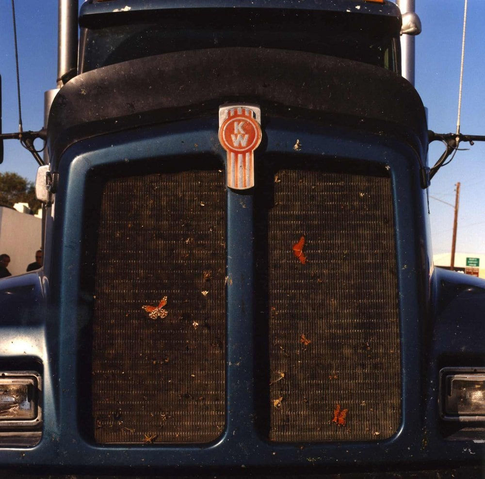 Lisa Eisner, Butterfly Grill, Marfa, Texas, 2003