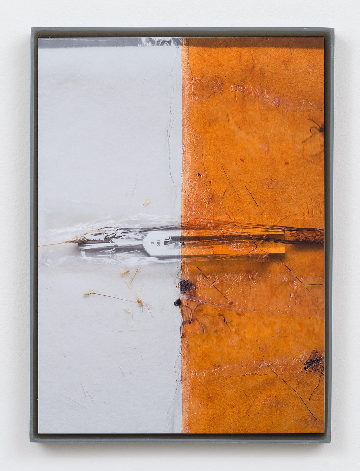 Jesse Stecklow, Untitled (Fly tapes: Potential Derivatives), 2015