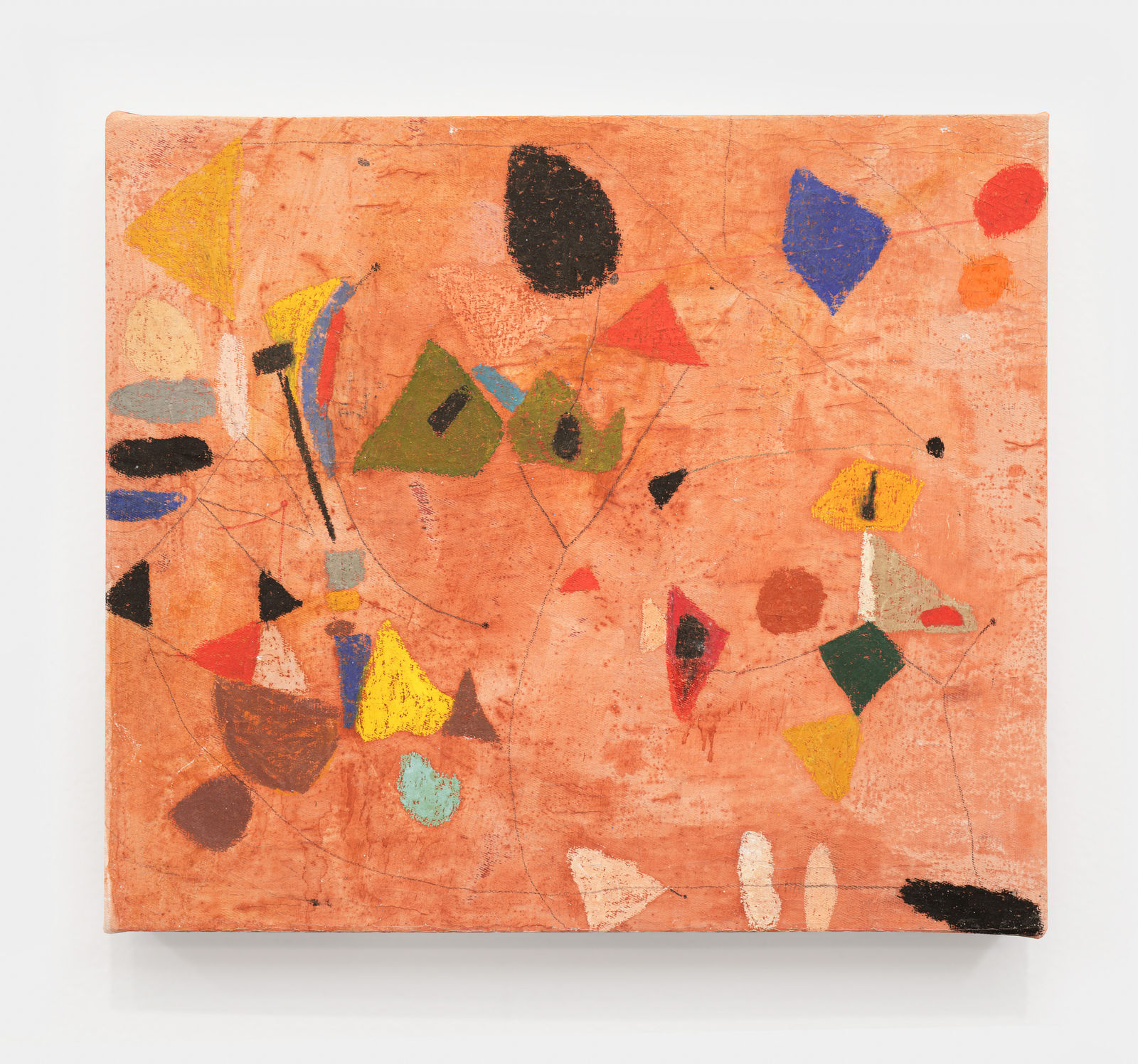 Lu Ferreira, Microcélulas, 2024