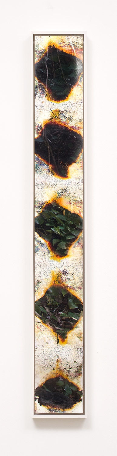 Matthew Brandt, Wai'anae 4651, 2015