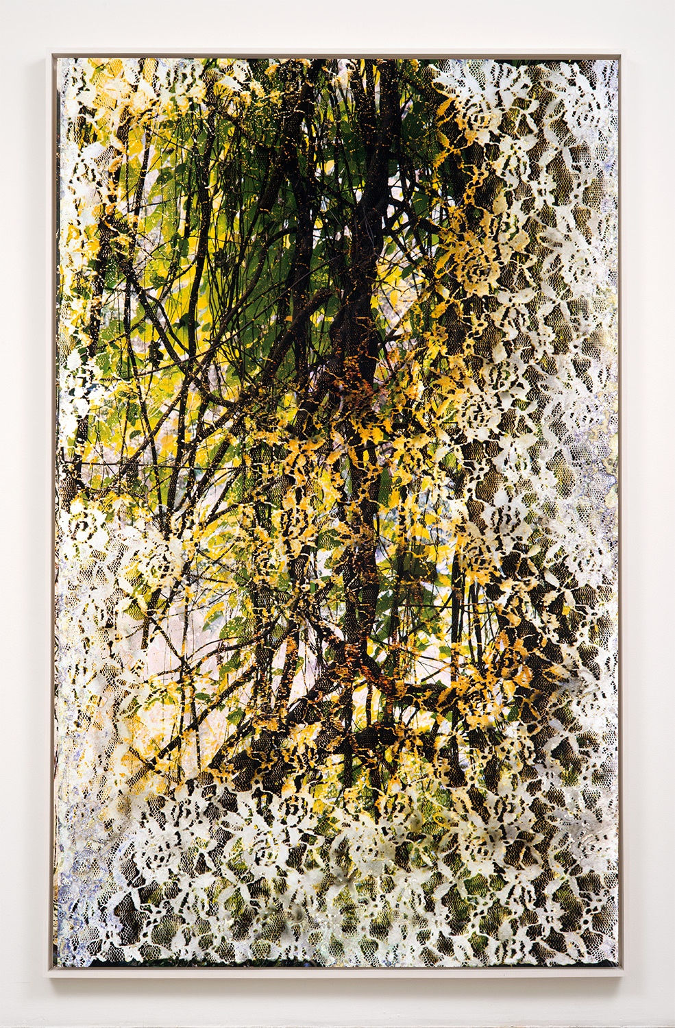 Matthew Brandt, Wai'anae 30182, 2015