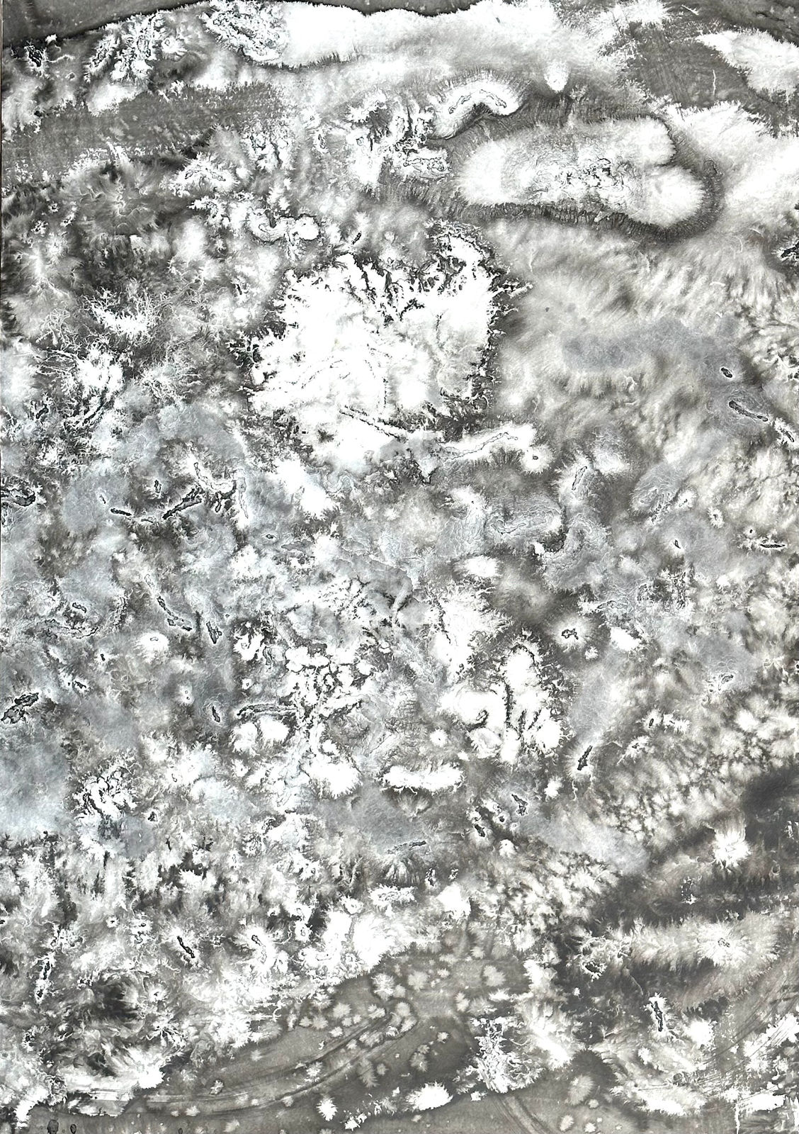 Un Accord avec la Laine 5 - Action II, 2023