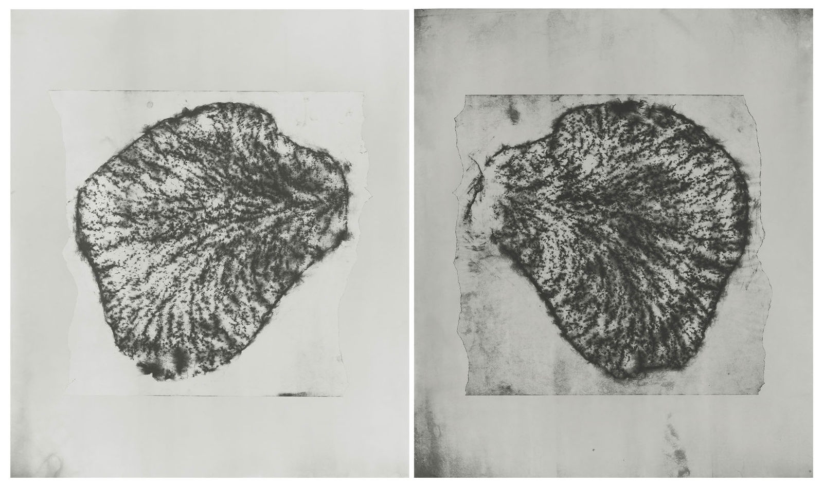 Houda Kabbaj, Transfers /Transferts - #13, 2024