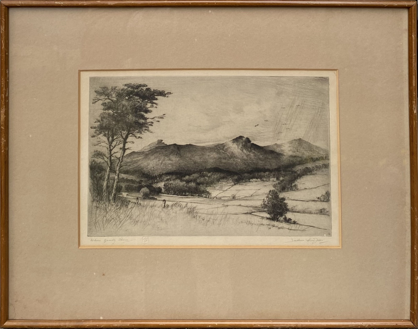 Henry Jackson Simpson MC, Where Gaudy Rains