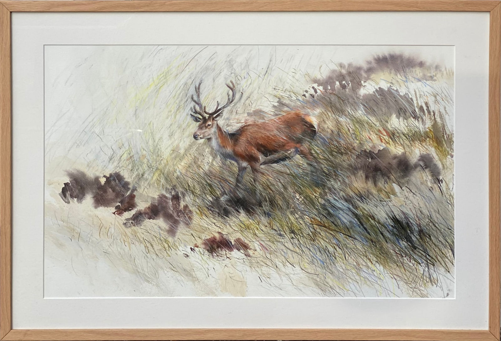 Lucy Newton, Young Stag