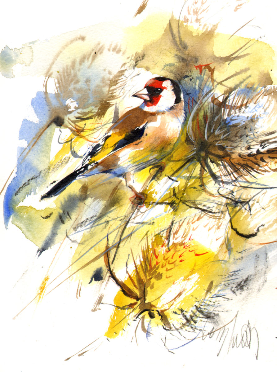 Lucy Newton, Goldfinch on Teasel