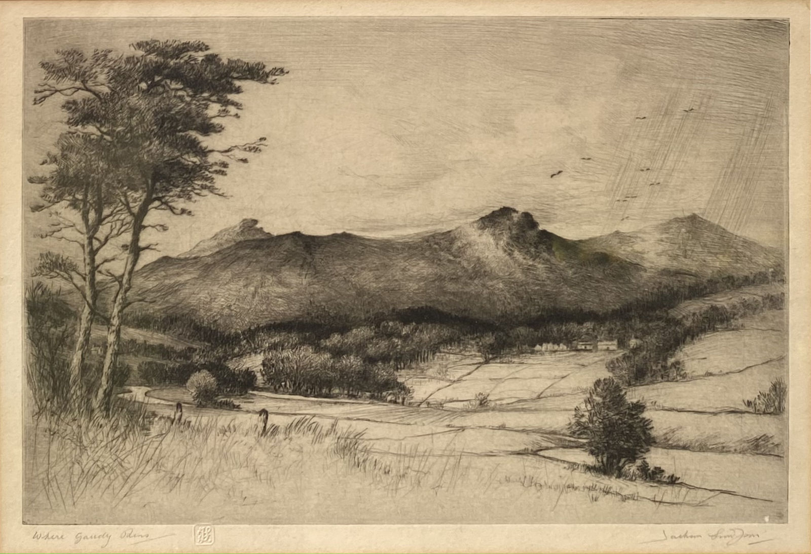 Henry Jackson Simpson MC, Where Gaudy Rains