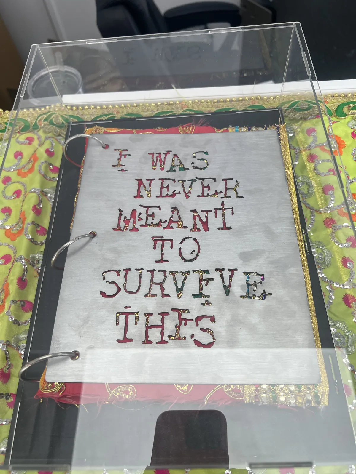 Richie Shazam, I WAS NEVER MEANT TO SURVIVE THIS, 2026