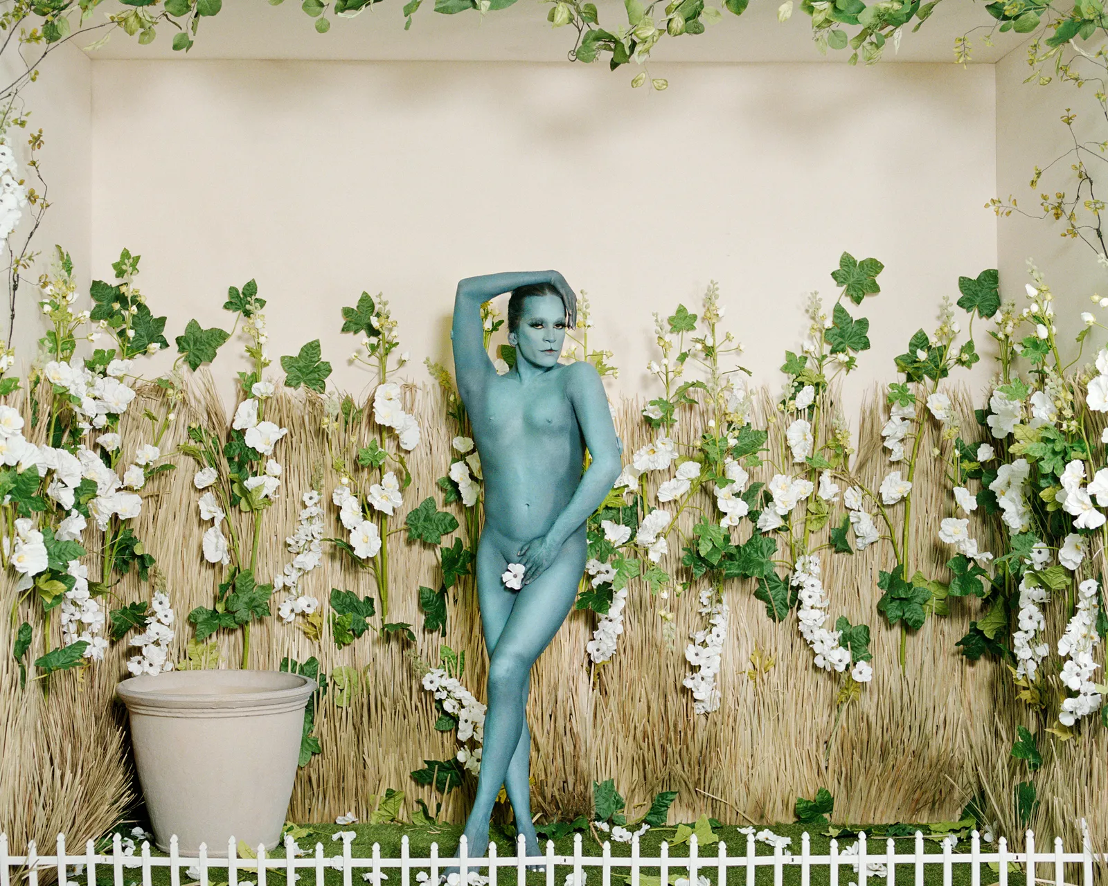 Richie Shazam, the backyard: KITTYKITTY, 2026