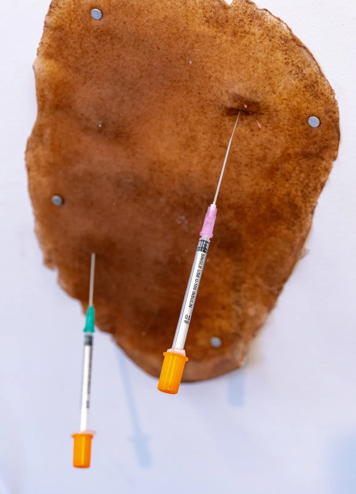 Richie Shazam, body, 2026