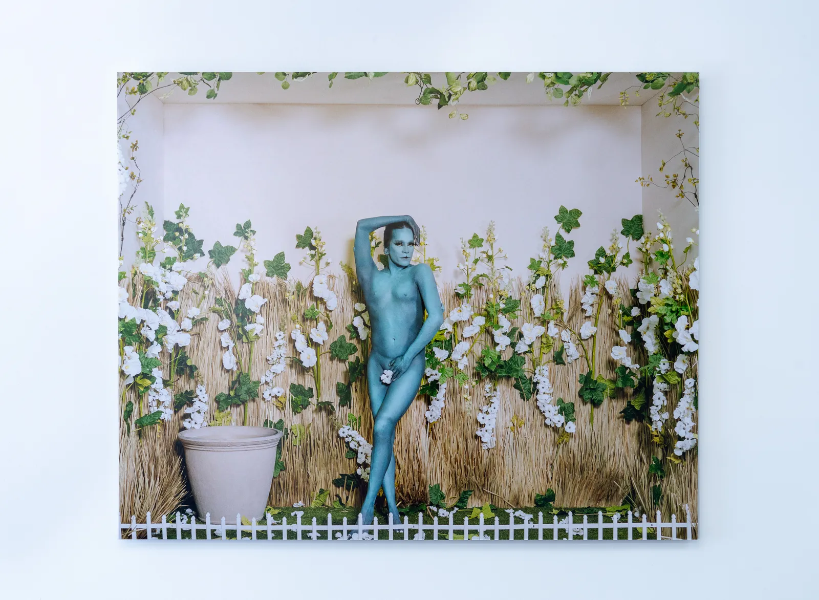 Richie Shazam, the backyard: KITTYKITTY, 2026