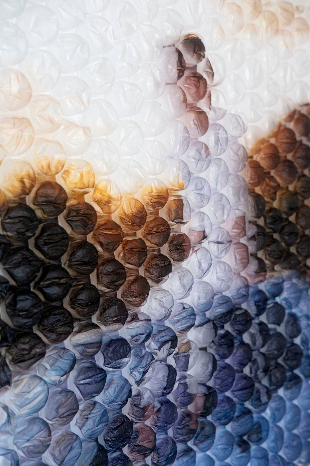 Rosie Clements, Pulsar, 2024