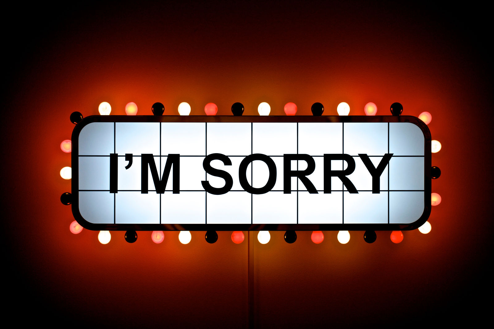 Adel Abidin, "I'M SORRY", 2007