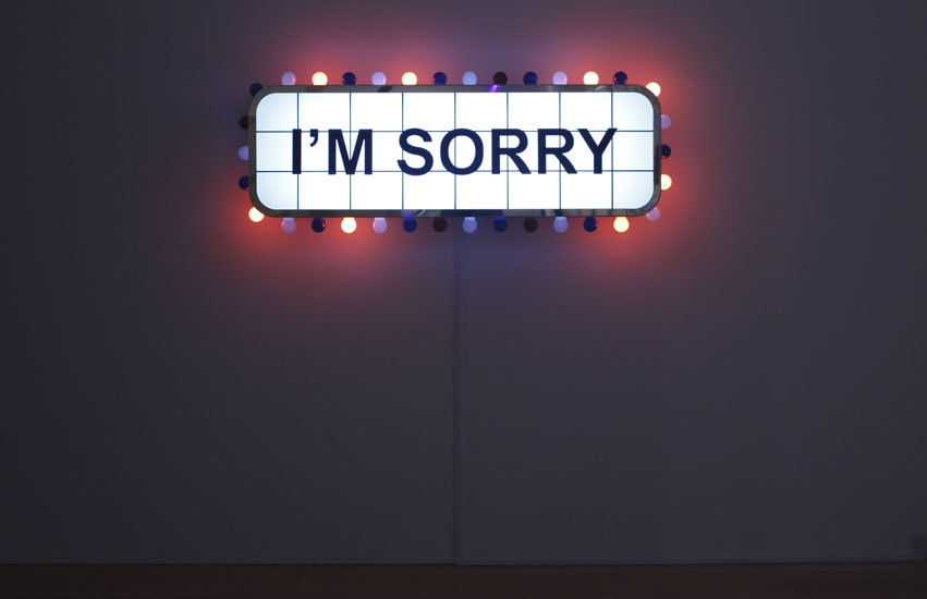 Adel Abidin, "I'M SORRY", 2007