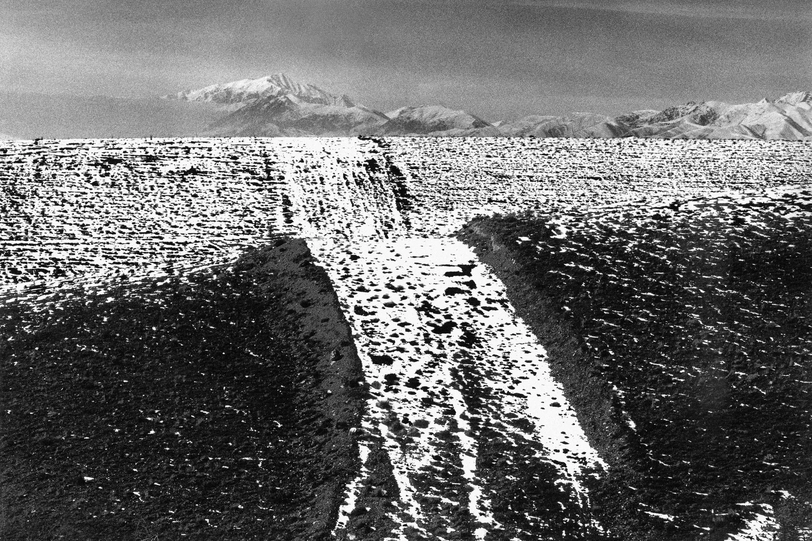 Abbas Kiarostami, Road Series 002