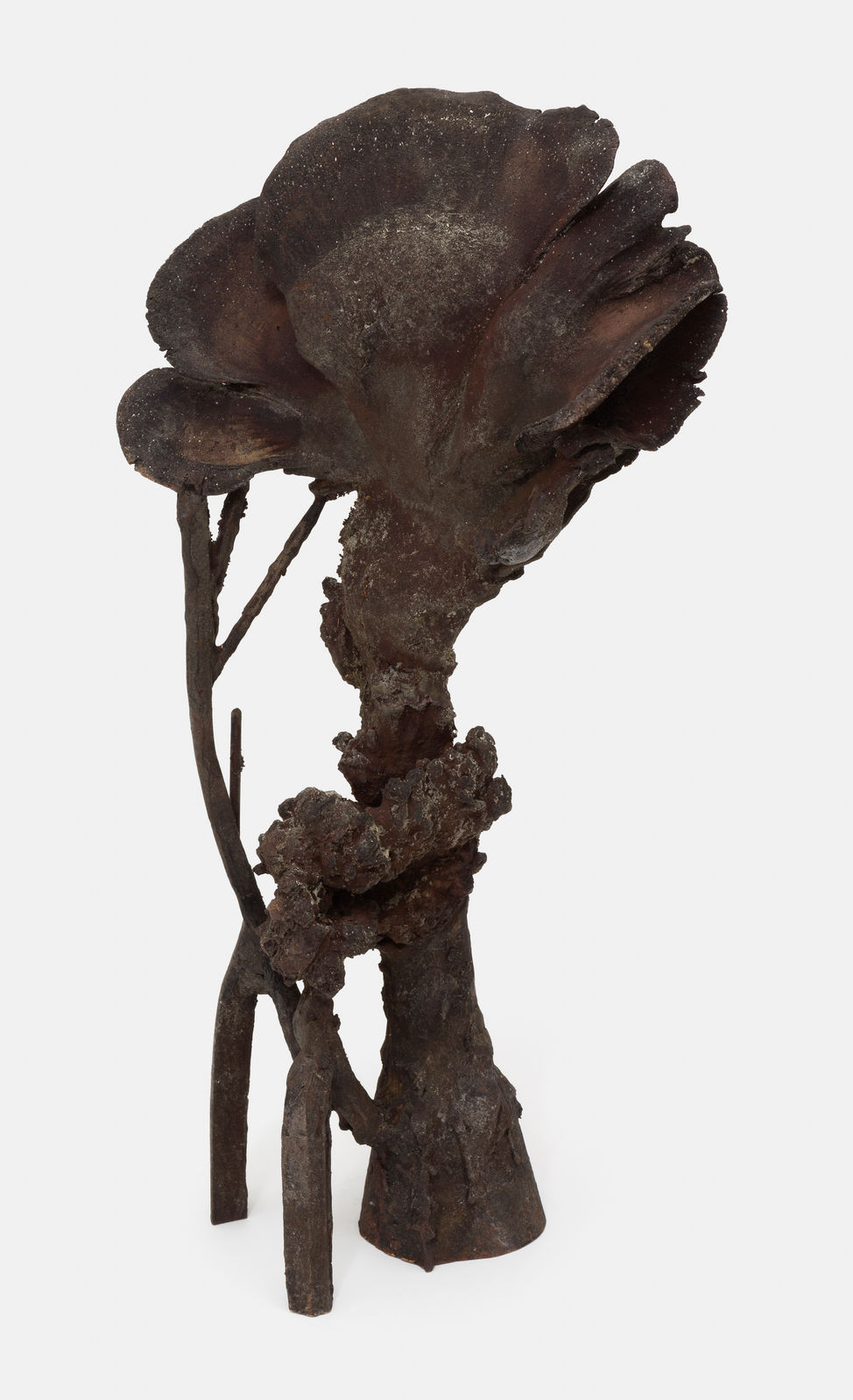 Giorgio Andreotta Calò, Sem título, 2015-2016