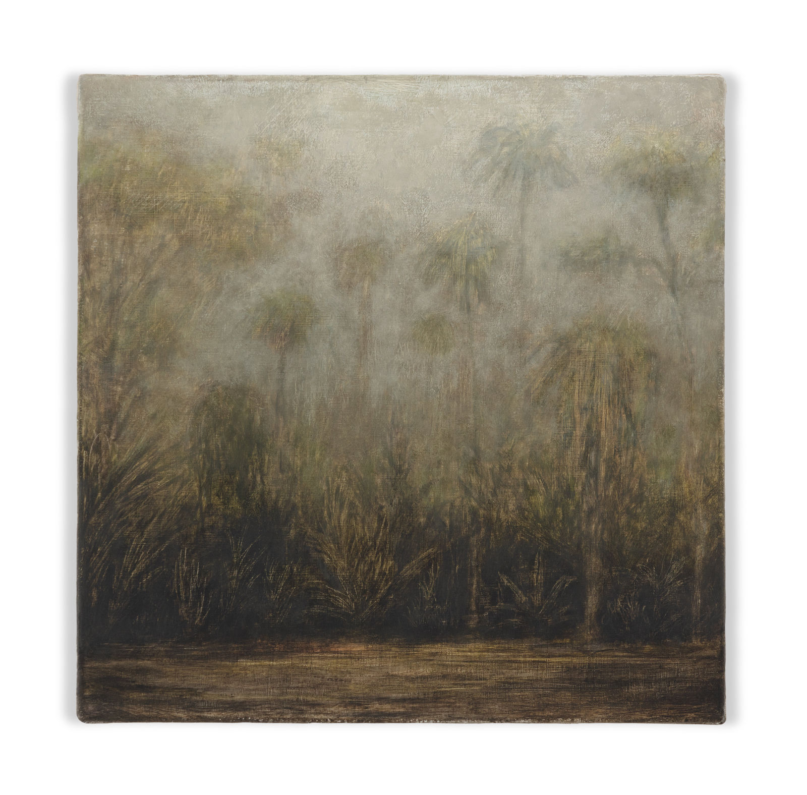 Lucas Arruda, Untitled (from the Deserto-Modelo series), 2019