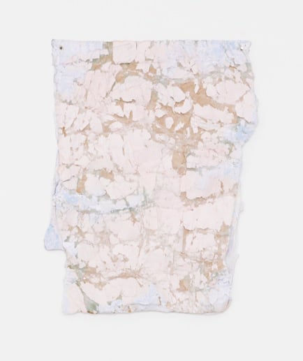 Adriano Amaral, Sem título, 2015