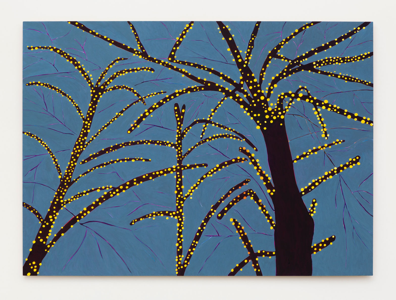 Patricia Leite, “Jabuticabeira”, 2018