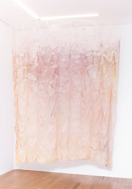 Adriano Amaral, Sem título, 2015