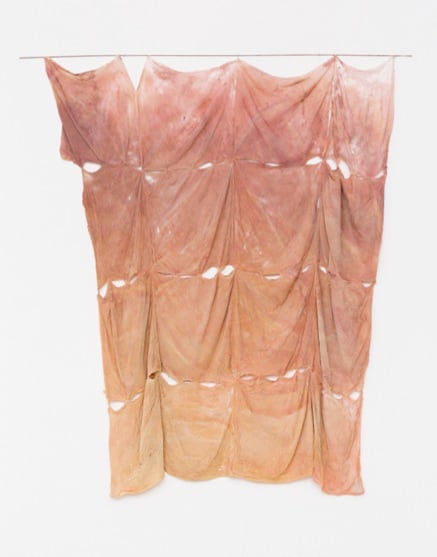 Adriano Amaral, Untitled | Sem título, 2015