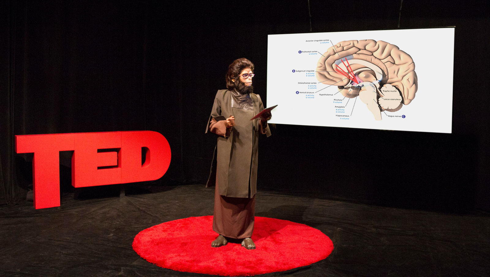 Coco Fusco, TED Ethology: Primate Visions of the Human Mind, 2015