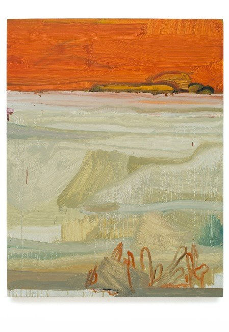 Alexandre Wagner, Sal e Coral, 2015